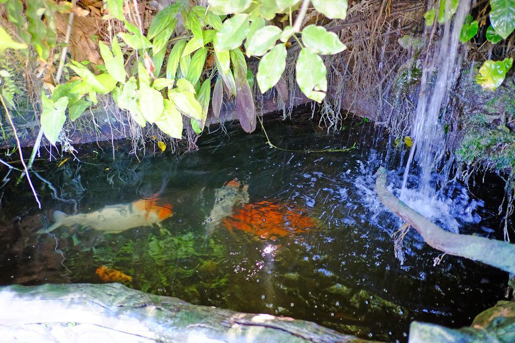 West Gorordo Hotel Cebu Eksteriør billede